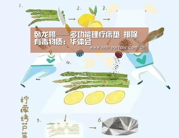 卧龙榻——多功能理疗床垫 排除有毒物质：华体会(图2)