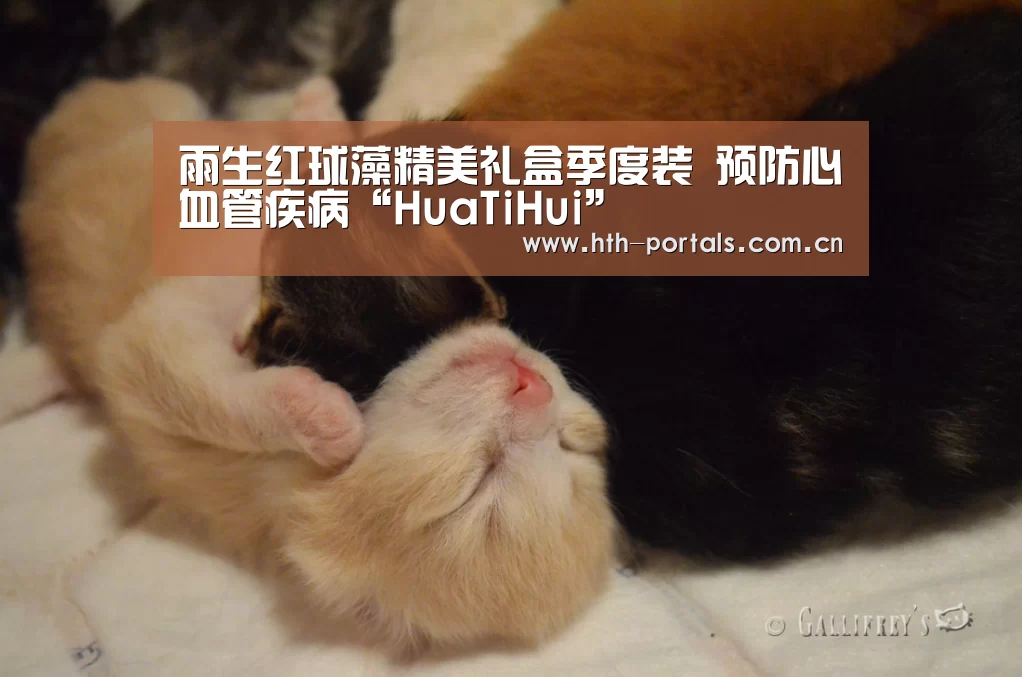 雨生红球藻精美礼盒季度装 预防心血管疾病“HuaTiHui”(图1) 雨生红球藻精美礼盒季度装 预防心血管疾病“HuaTiHui”(图1)