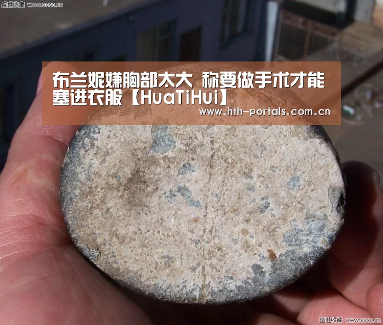 布兰妮嫌胸部太大 称要做手术才能塞进衣服【HuaTiHui】(图2) 布兰妮嫌胸部太大 称要做手术才能塞进衣服【HuaTiHui】(图2)